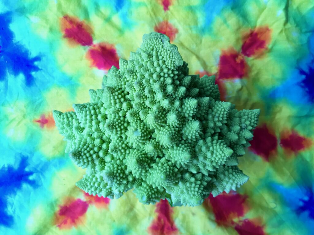 head of Romanesco on tie dye background