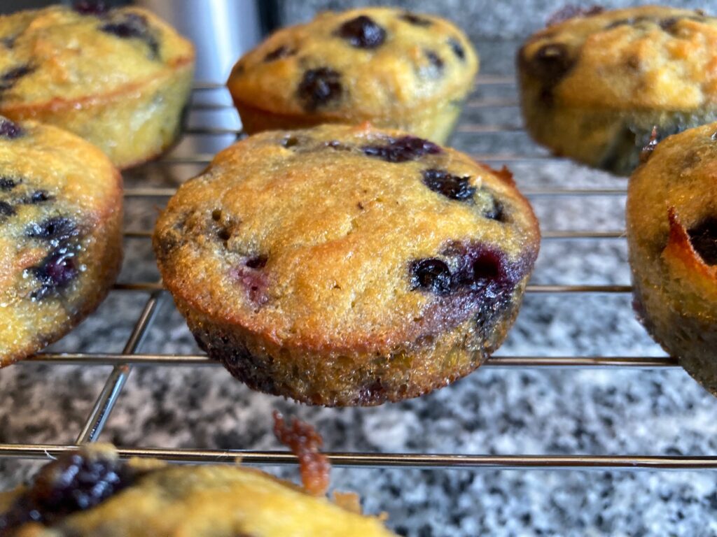 coconut flour blueberry muffins on a cooling rack