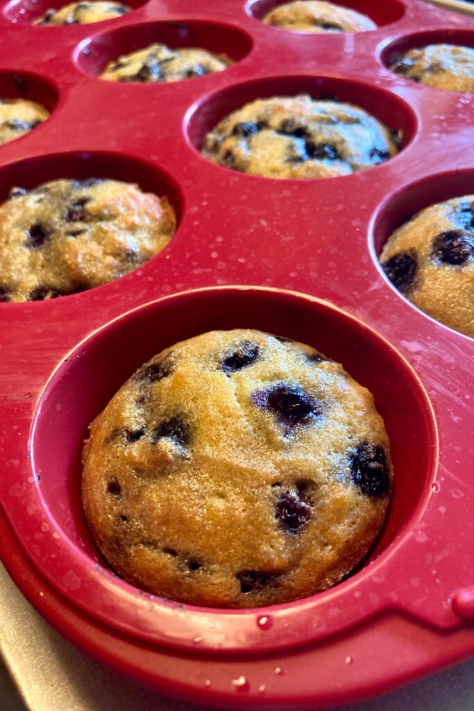 coconut flour blueberry muffins in pan