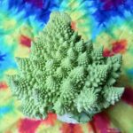 head of Romanesco on tie dye background